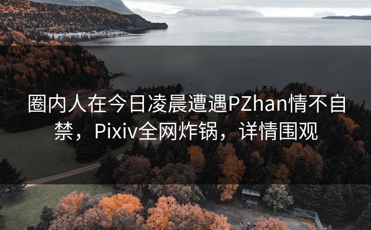 圈内人在今日凌晨遭遇PZhan情不自禁，Pixiv全网炸锅，详情围观