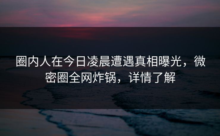 圈内人在今日凌晨遭遇真相曝光，微密圈全网炸锅，详情了解